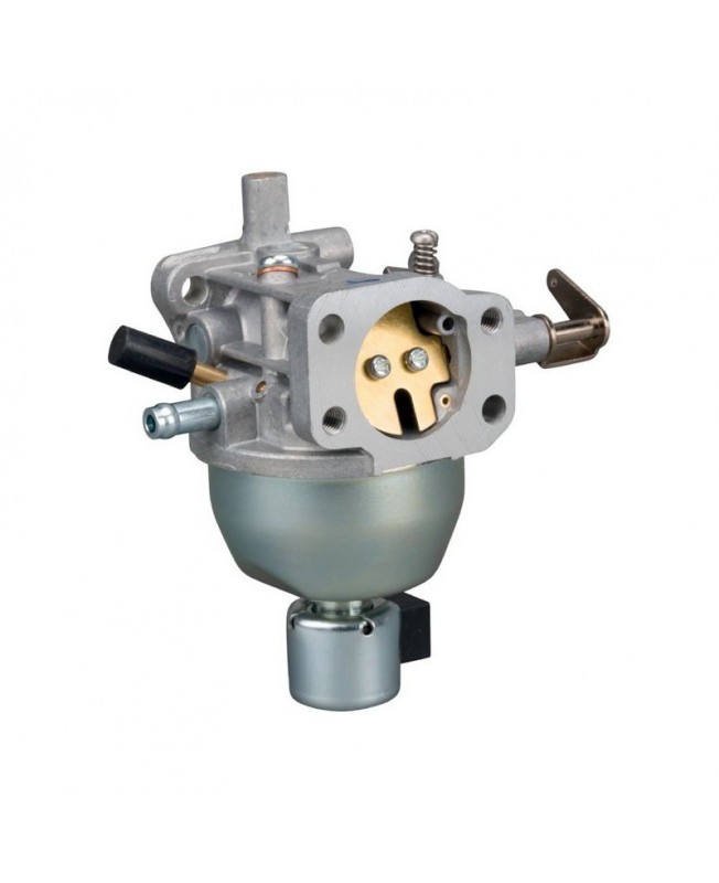 Carburateurs Briggs & Stratton 846944