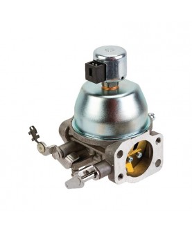 Carburateurs Briggs & Stratton 847050