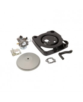 Carburateurs Briggs & Stratton 847393