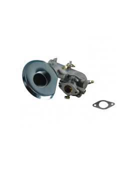 Carburateurs Briggs & Stratton 392587 