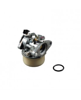 Carburateurs Briggs & Stratton 492498 