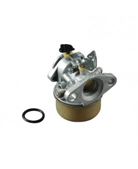 Carburateurs Briggs & Stratton 492499 