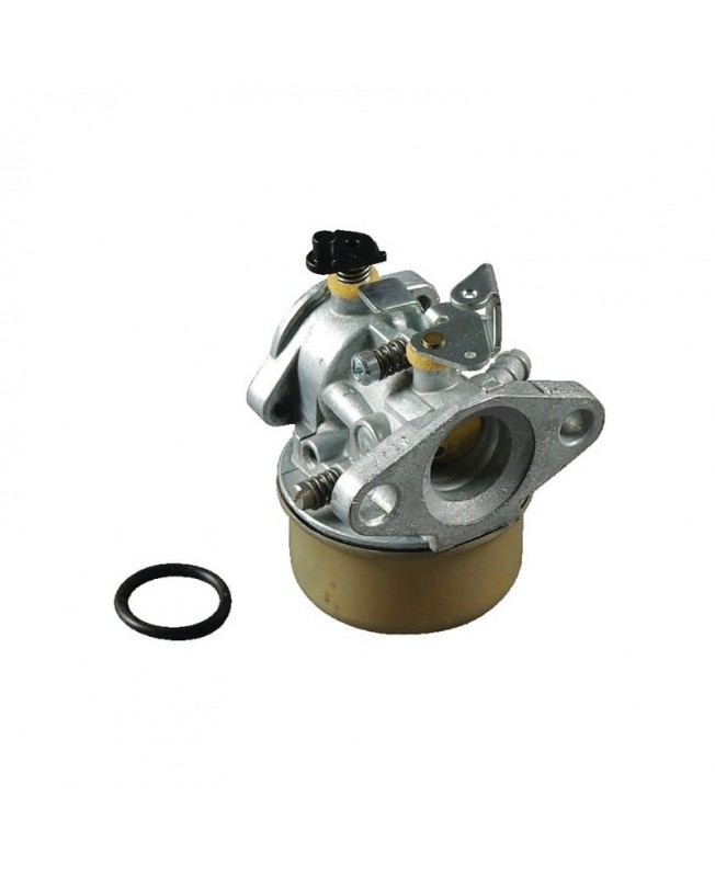 Carburateurs Briggs & Stratton 492499 