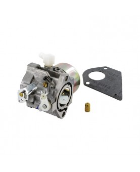 Carburateurs Briggs & Stratton 495778 