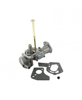 Carburateurs Briggs & Stratton 498298 