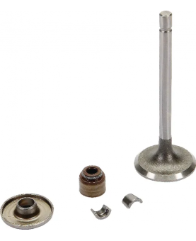 Soupape d'échappement 843751 briggs & Stratton