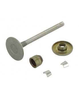 Soupape d'échappement 807680 briggs & Stratton