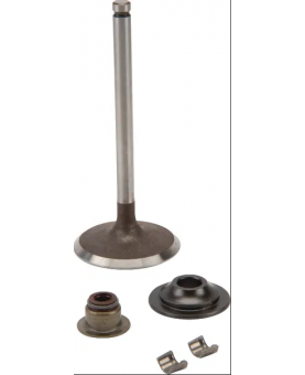 Soupape d'échappement 716080 briggs & Stratton