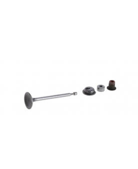 Soupape d'échappement 590530 briggs & Stratton
