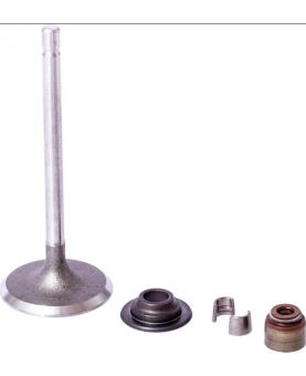 Soupape d'échappement 843730 briggs & Stratton