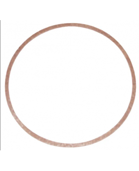 Joint cuvette flotteur 270511 . Pièce de rechange pour moteur thermique Briggs et Stratton