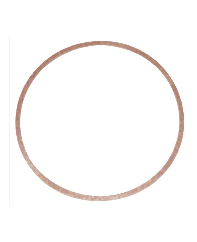 Joint cuvette flotteur 270511 . Pièce de rechange pour moteur thermique Briggs et Stratton