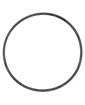 Joint cuvette flotteur 806481 . Pièce de rechange pour moteur thermique Briggs et Stratton