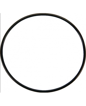 Joint cuvette flotteur 841651 . Pièce de rechange pour moteur thermique Briggs et Stratton