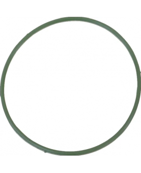 Joint cuvette flotteur 591467 . Pièce de rechange pour moteur thermique Briggs et Stratton