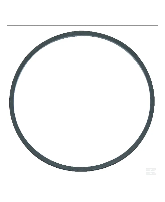 Joint cuvette flotteur 711318 . Pièce de rechange pour moteur thermique Briggs et Stratton