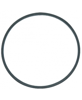 Joint cuvette flotteur 711763 . Pièce de rechange pour moteur thermique Briggs et Stratton