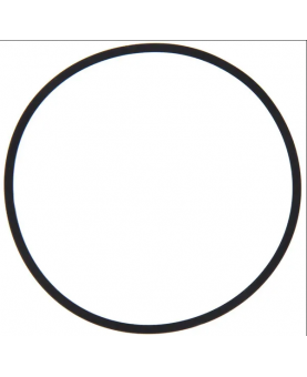 Joint cuvette flotteur 594861 . Pièce de rechange pour moteur thermique Briggs et Stratton