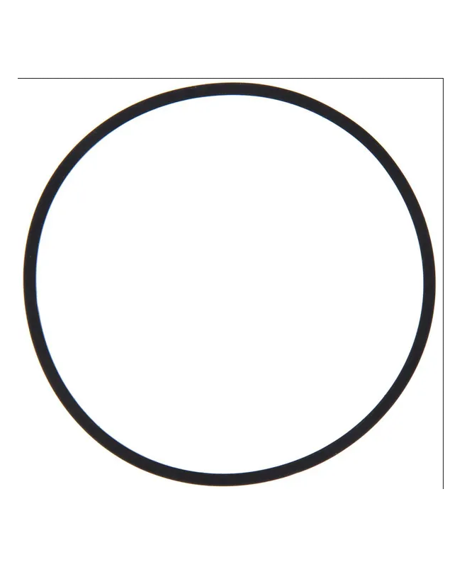 Joint cuvette flotteur 594861 . Pièce de rechange pour moteur thermique Briggs et Stratton