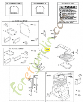692187 Oeillet