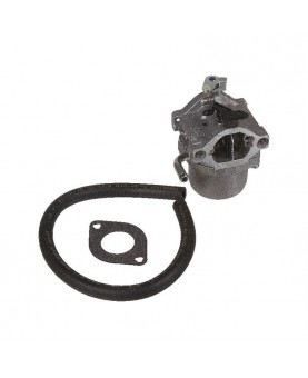 Carburateurs Briggs & Stratton 593432 