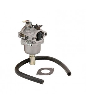 Carburateurs Briggs & Stratton 593433 