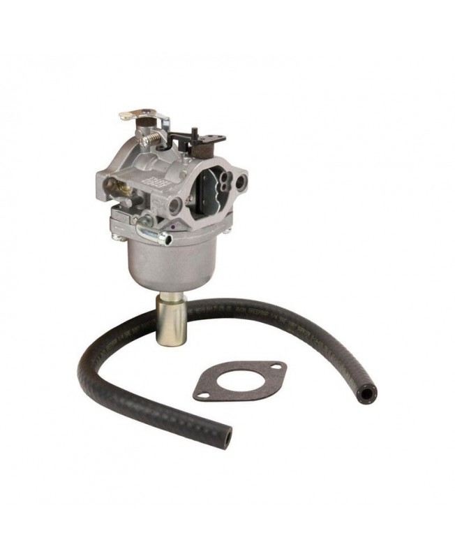 Carburateurs Briggs & Stratton 593433 