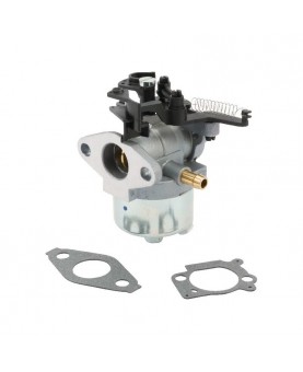 Carburateurs Briggs & Stratton 84001115 