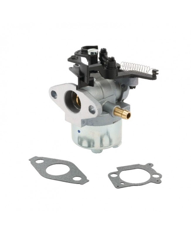 Carburateurs Briggs & Stratton 84001115 