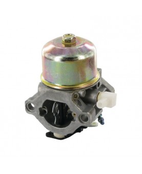 Carburateurs Briggs & Stratton 699831 