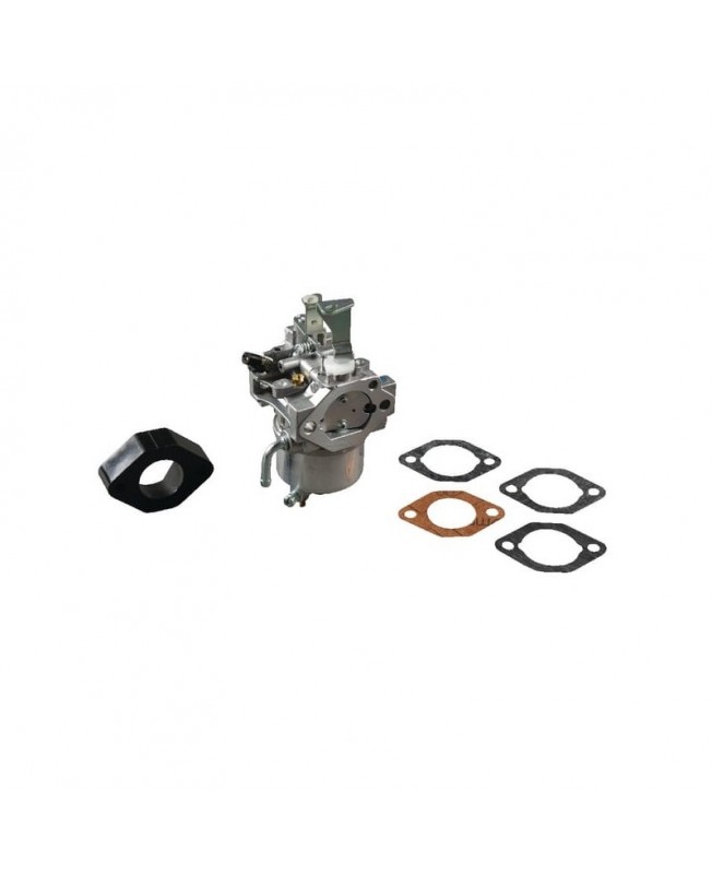 Carburateurs Briggs & Stratton 715668 