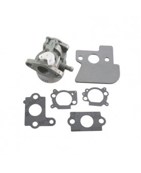 Carburateurs Briggs & Stratton 790120 