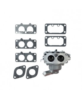 Carburateurs Briggs & Stratton 791230 