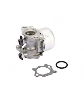 Carburateurs Briggs & Stratton 799866 