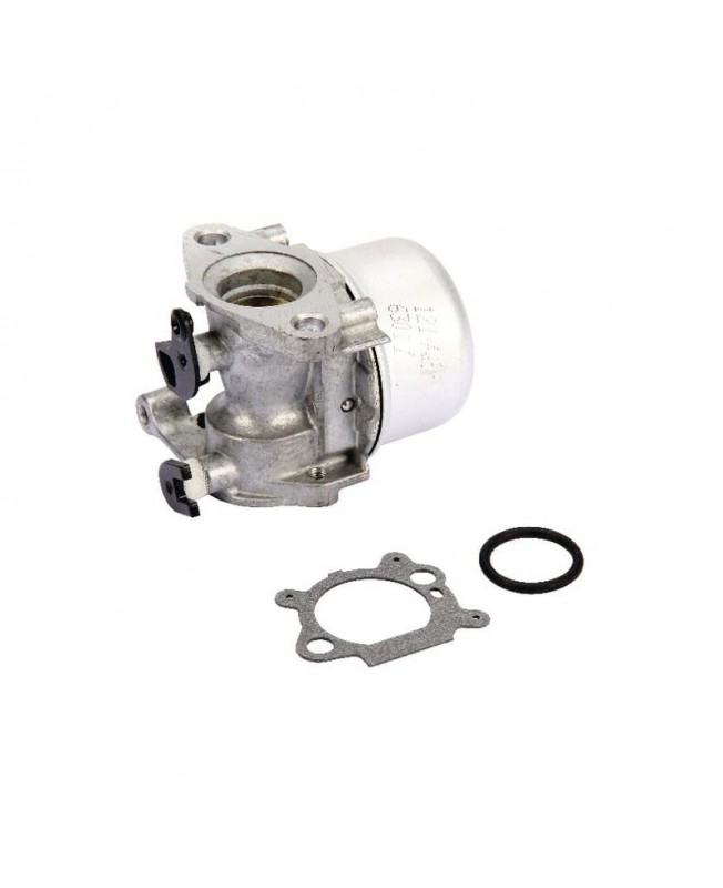 Carburateurs Briggs & Stratton 799866 