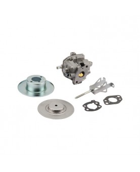 Carburateurs Briggs & Stratton 845906 