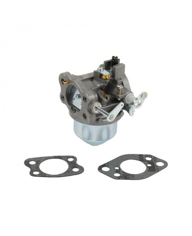 Carburateurs Briggs & Stratton 847049 