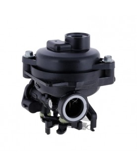 Carburateurs Briggs & Stratton 84001032