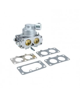 Carburateurs Briggs & Stratton 595613