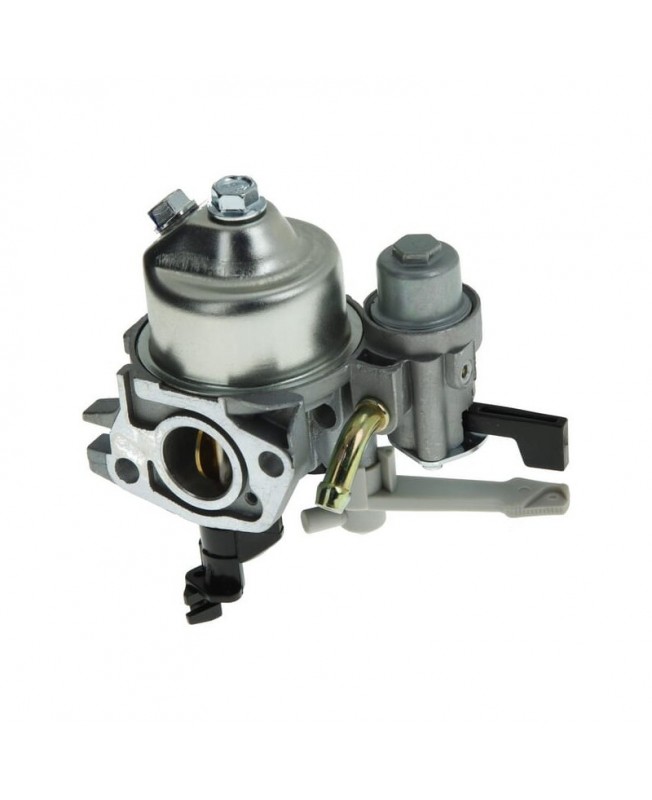 Carburateurs Briggs & Stratton 595652