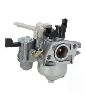 Carburateurs Briggs & Stratton 595649 