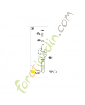 793446 Pignon distribution Briggs & Stratton