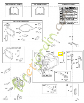 691913  Jauges à huile Briggs & Stratton