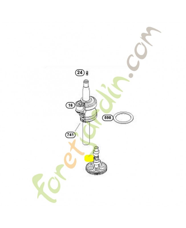 592968 arbre a cames