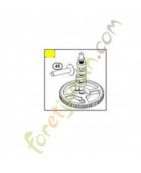 790562 Arbre à cames Briggs & Stratton