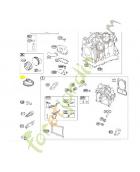 794574 Arbre à cames Briggs & Stratton