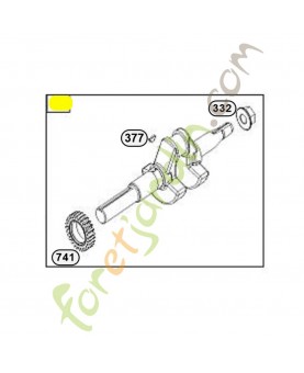 797070 Vilebrequin. Pièce de rechange pour moteur thermique Briggs et Straton