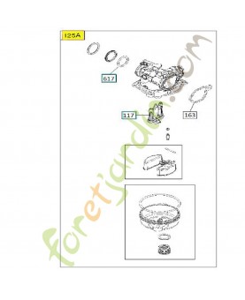 Carburettor b&s 591110