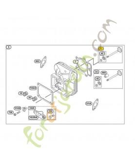 697576 Soupape d'échappement briggs & Stratton