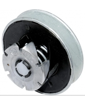 Ensemble poulie Briggs & Stratton 1733968YP